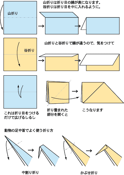 折り図の解説