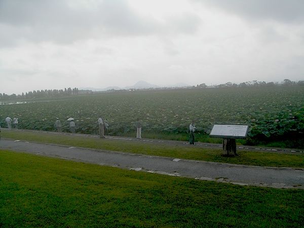 20110726kusatsu_01