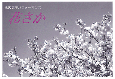 「花さか」DM 裏