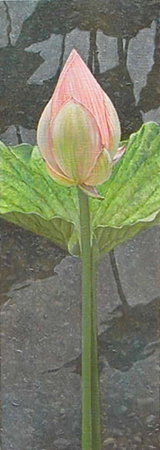 lotus080501