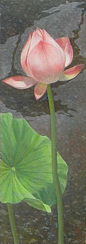 lotus080502
