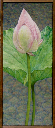 lotus1_paint 