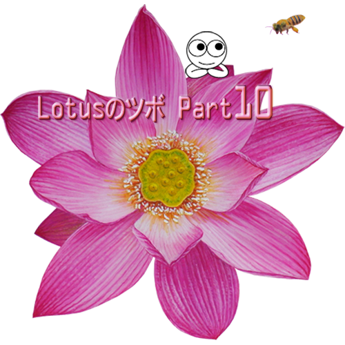 lotus_part10