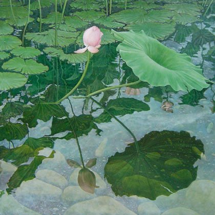 lotus_reflection