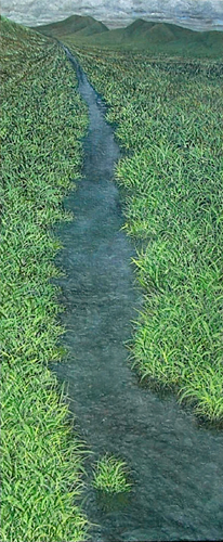 vanishingwater