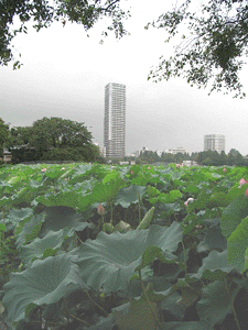 20080807_4