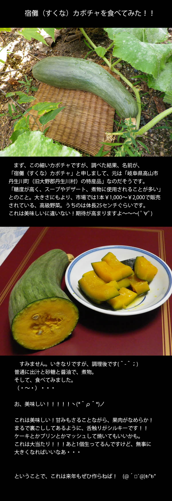 kabocha20120901